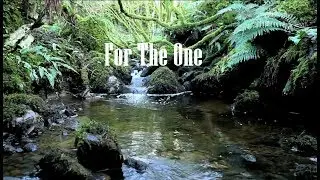 For The One - Brian and Jenn Johnson / Tradu&ccedil;&atilde;o em Portugu&ecirc;s
