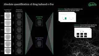 Absolute quantification of drug induced c-Fos