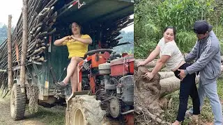 Rural life in reality: transporting firewood using agricultural vehicles.