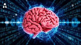 Questo Folle Progetto di un Computer Basato sulle Cellule Cerebrali Umane!
