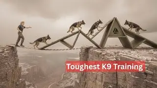 Extreme Futuristic K9 Military Training &ndash; Next-Level German Shepherd Special Forces Drills