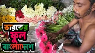 ভারতের ফুল বাংলাদেশে ‖ Bangladesh import flower plant from India