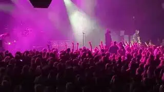 The Cult - Wild Flower - LIVE