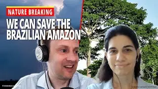 The Amazon Rainforest: Celebrating 10 Years of ARPA for Life