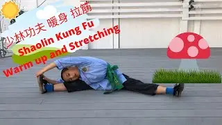 ► Shaolin Kung Fu Beginner Training Ep. 13 Warm Up & Stretching 少林功夫 暖身, 拉筋