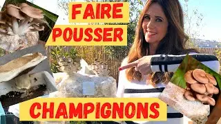 FAIRE POUSSER DES CHAMPIGNONS CHEZ SOI