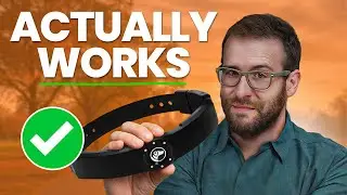 Best GPS Dog Collar: Why Most of Them Fail the Sniff Test