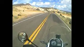 The Hogs Back