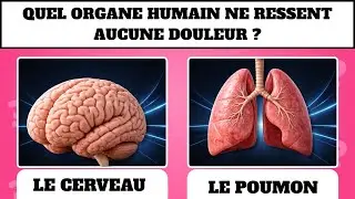 Quiz de culture générale DIFFICILE 🔥 Teste ton vrai niveau 🧠