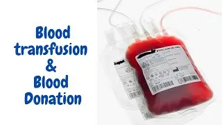Blood Transfution | Blood Donation | Details About Human Blood | Hrid Healthcare