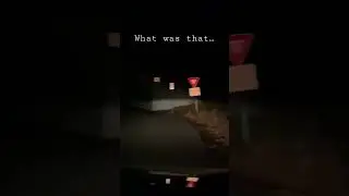 What was that&hellip;at bunny man bridge 🐰