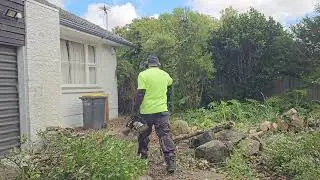 THIEVES goat inside the HOUSE and COPS tell the home HONOUR to get rid of the BUSHES 