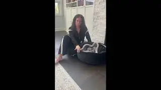 YUDANSI Hooded Pet Bed 🐕🐈 | Amazon Review & Size Test (26&rdquo;) #amazonreview #amazonfinds