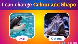 Guess the Sea Creature | Test your ocean knowledge #TinyThinks #quiz #quizforkids #seacreature