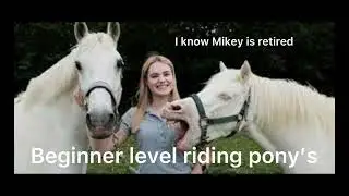Would you go to this barn part 2|equine stuff