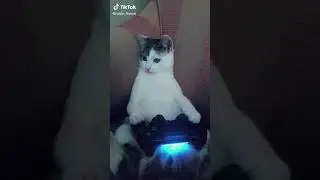 Raisin the rocket league god 👑