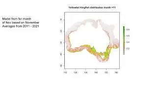 Yellowtail Kingfish - predicted migration