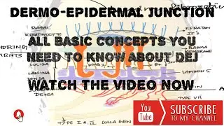 DERMO-EPIDERMAL JUNCTION