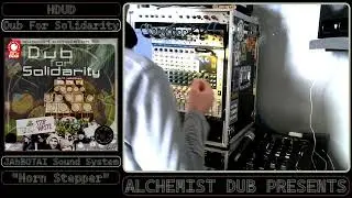HDUD Support Compilation #5   Dub For Solidarity   JAhBOTAI Sound System   Horn Stepper Played By Al