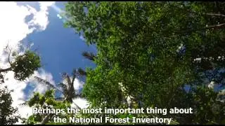 National Forest Inventory of Peru