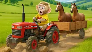 Farmer Monkey Driving Tractor and Plowing Field | Funny Monkey Video