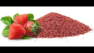HOW TO GERMINATE STRAWBERRIES FROM SEEDS