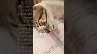 sleeping cat super cute 🥰🥰🥰🥰🥰