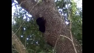 #warning #arachnophobia beware.......You have been warned..