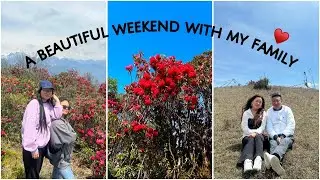 My 3rd Moto Vlog • First offroading experience 🛵😨😬Tom Hill is filled with rhododendrons 🌺 |