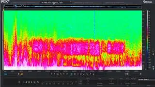 Identifying Features in Audified Data