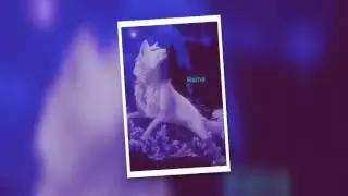 Rise of Wolves Hell try out video