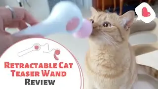 Retractable Cat Teaser Wand Review - A Fairy Wand for Cats