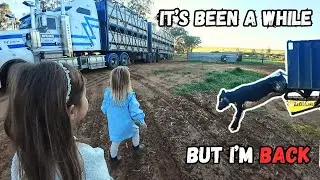 C'mon, I'll Show You | It's Better late Than Never | Seeding Clean Up, Crop Spraying & Cattle Arrive
