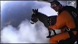 Just jack doing some crazy stunts 😎 #shortvideo #funny 