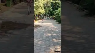 Way to Botanical Garden | #pondicherry #botanical #botanicalgarden #botanicalpark