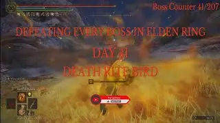 1 day 1 Elden Ring boss - Day 41 | Death Rite Bird