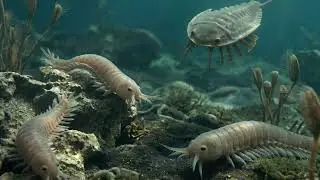 How Life Began on Earth | The Origin of Life Explained