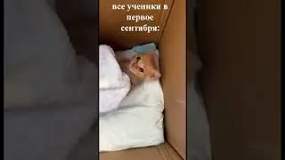 Последний день лета неет #лето2025 #viral #meme #песня #мем  #lol #последний