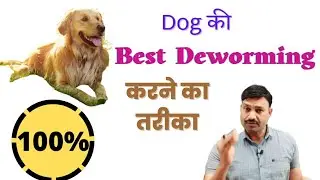 Best Deworming method for Dogs Ramawat Dog care