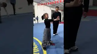 Real kungfu skills show