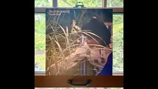 富樫雅彦 &bull; Masahiko Togashi &ldquo; 風の遺した物語 &bull; Story of Wind Behind Left&rdquo; 1975 Columbia / 2023 Cinedelic