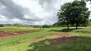 Coronica Winery