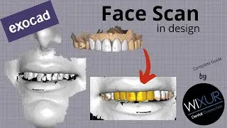 How To Use Face Scan in Design