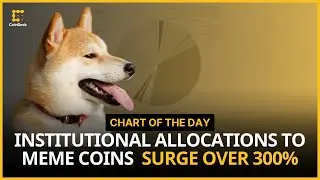 Institutional Holdings of Meme Coins Surged Since January | Chart of the Day