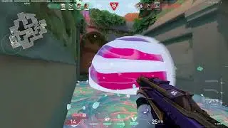 The Reactions Are Peak
