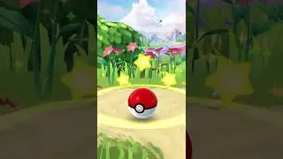 catchit Shaymin pokemon grass and gratitude event in pokemon go 🤩🤩🤩