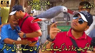 Lalukhet Exotic Birds and Rooster Market Karachi 12-5-24 Part 1 | Unique and Rare Birds and Parrots
