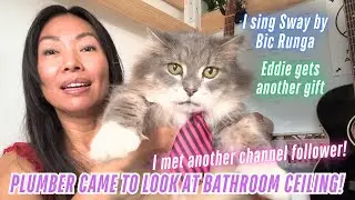 Bathroom ceiling update! Eddie gets another gift! 