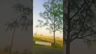 DHARAM KOT KADIYAL VIEW