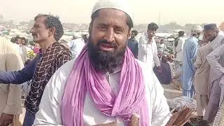 District Dera Ghazi Khan Pull Qamber kabootar Mandi Arshee pigeons Gola Kabutar Karbalai pigeons
